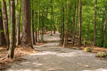 Wooded Trail